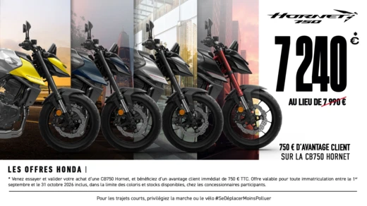 Gamme Hornet 750